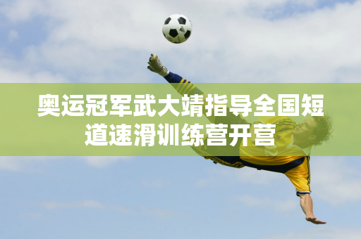 能够帮助球